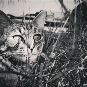 Meet your Posher, Kat